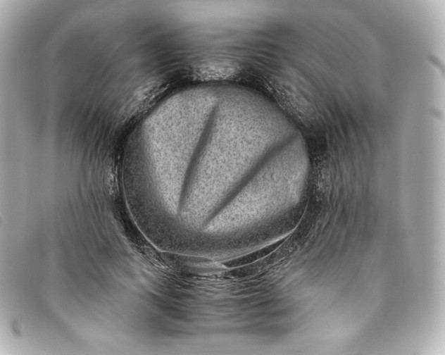 X0000093490743200710261117