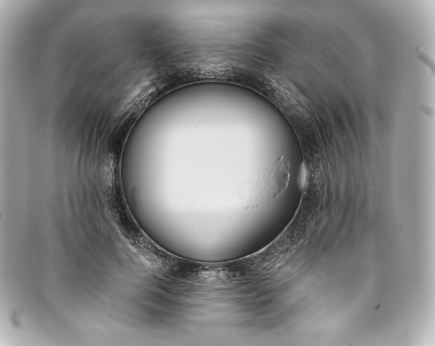 X0000093490744200710261117