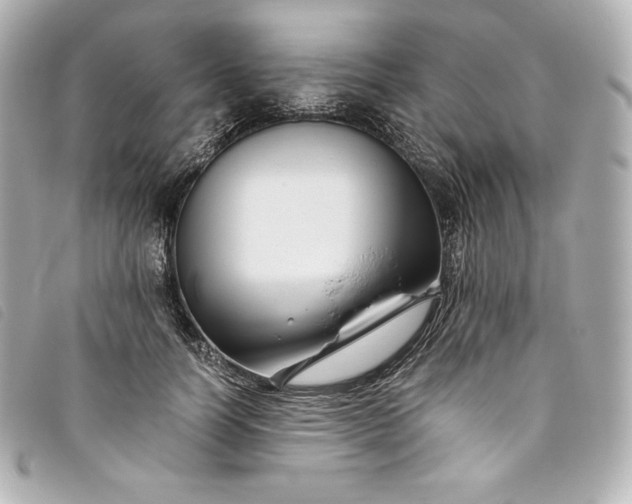 X0000093490746200710261117