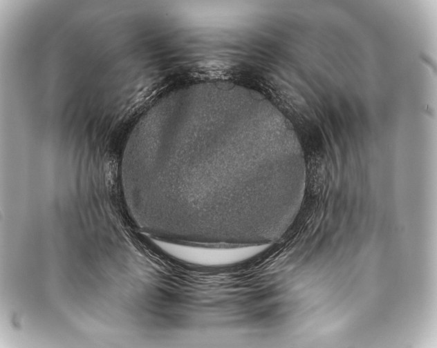 X0000093490747200710261117