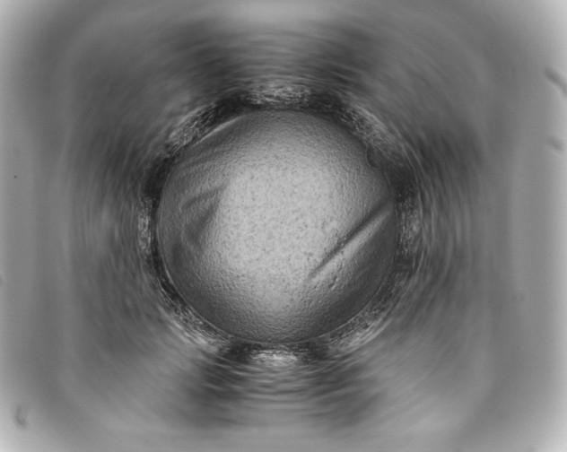 X0000093490749200710261117