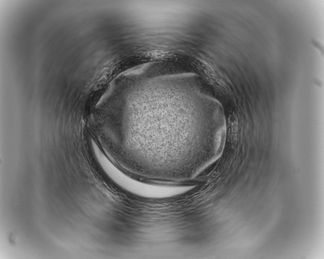 X0000093490750200710261117