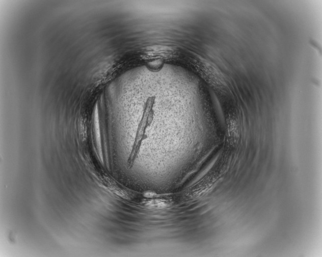 X0000093490751200710261117