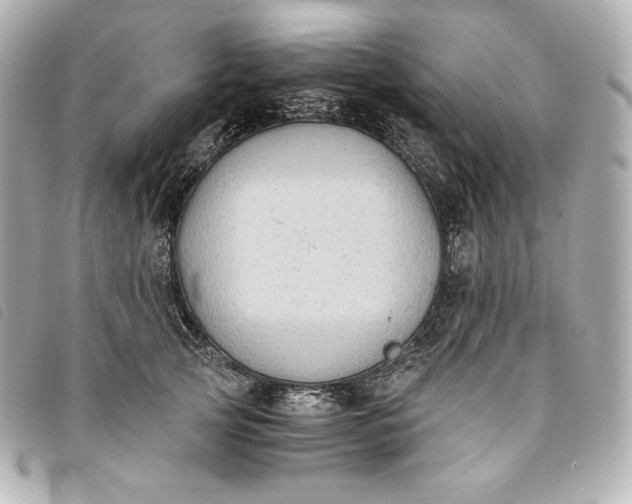 X0000093490753200710261117