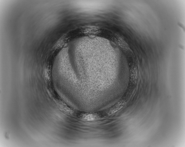 X0000093490755200710261117