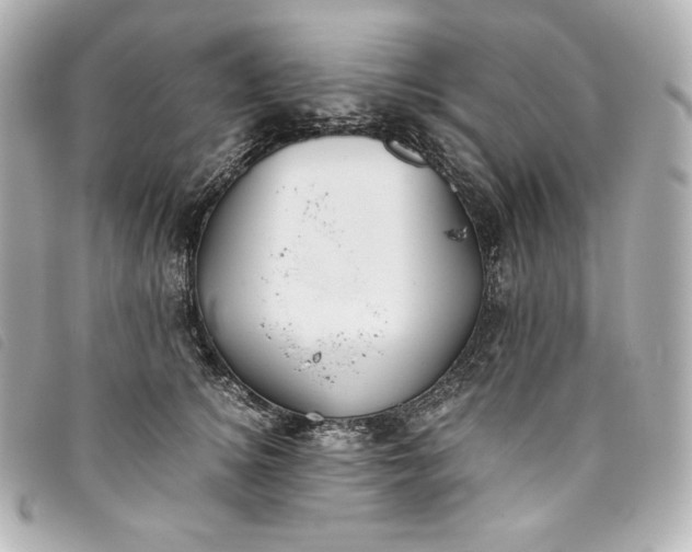 X0000093490756200710261117