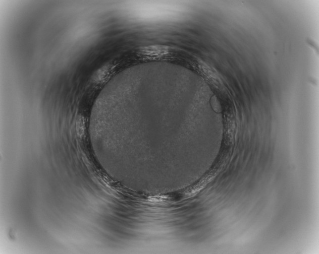 X0000093490758200710261117