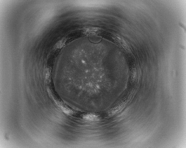 X0000093490759200710261117