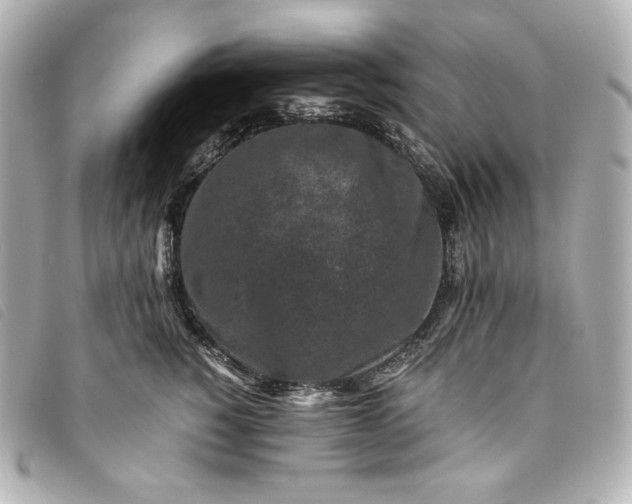 X0000093490760200710261117