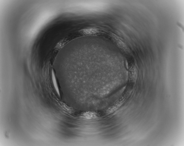 X0000093490762200710261117