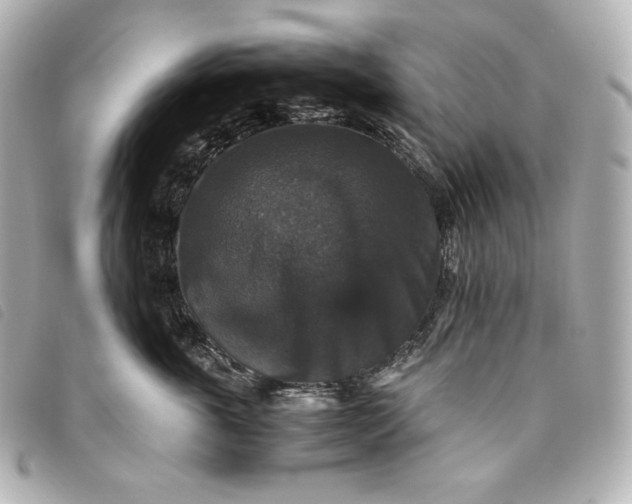 X0000093490763200710261117