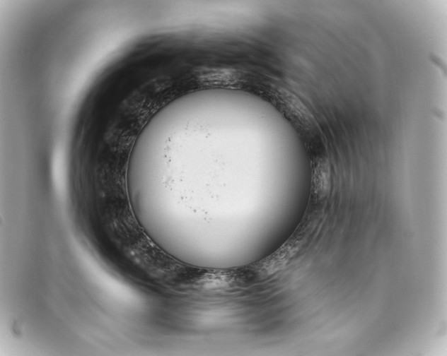 X0000093490764200710261117