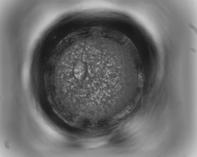 X0000093490765200710261117