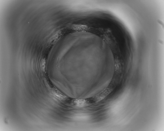 X0000093490767200710261117