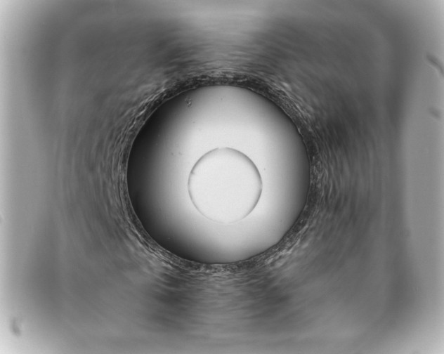 X0000093490769200710261116