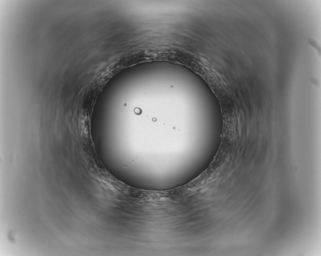 X0000093490770200710261116