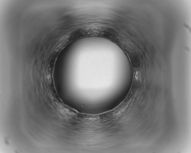 X0000093490771200710261116