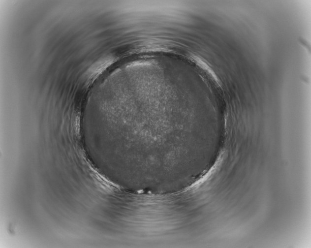 X0000093490777200710261116