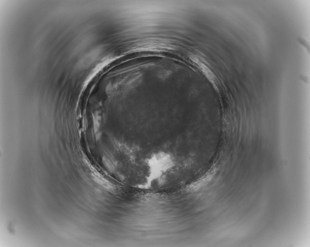 X0000093490779200710261116