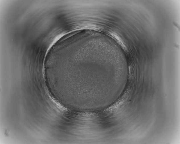 X0000093490780200710261116