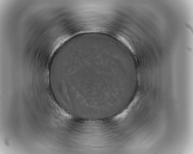 X0000093490781200710261116