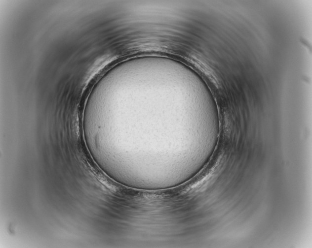 X0000093490782200710261116