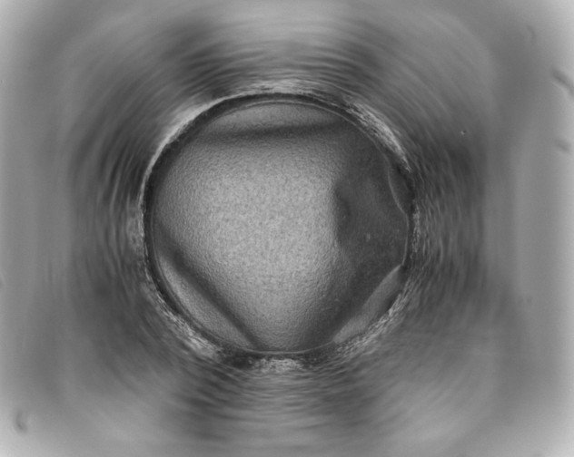 X0000093490784200710261116