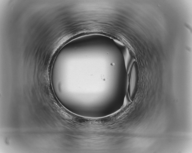 X0000093490789200710261116