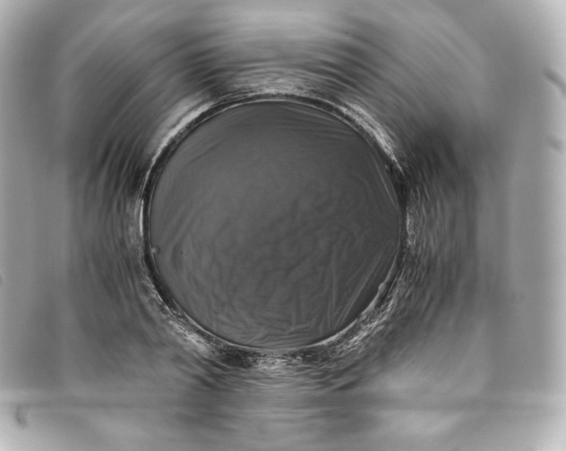 X0000093490790200710261116