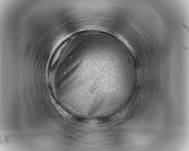 X0000093490791200710261116