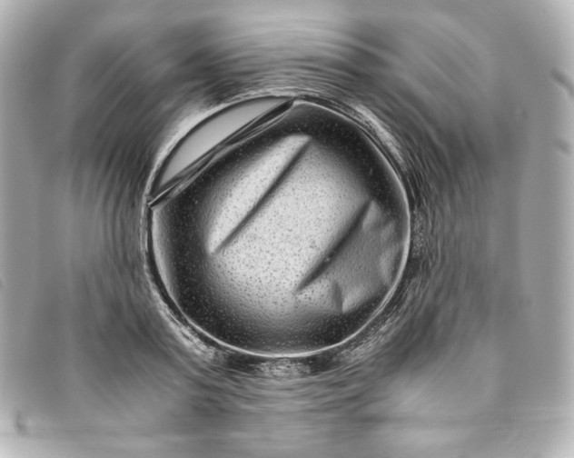 X0000093490795200710261116