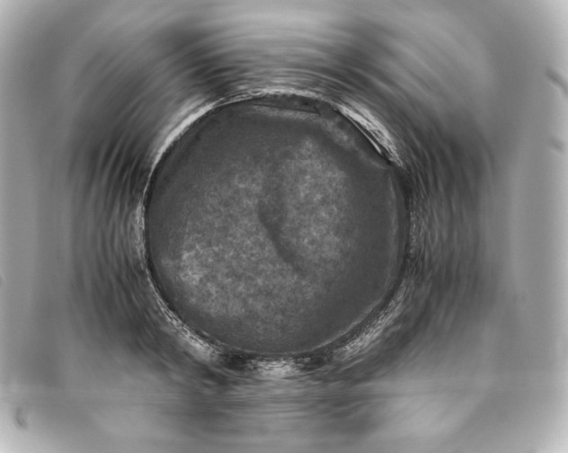 X0000093490798200710261116