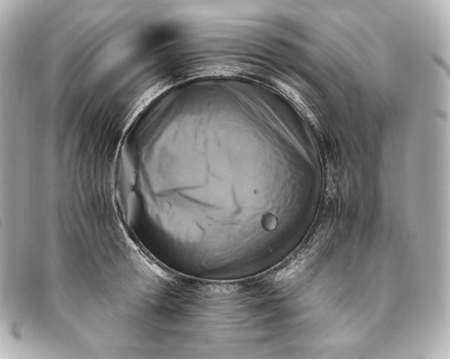 X0000093490802200710261116