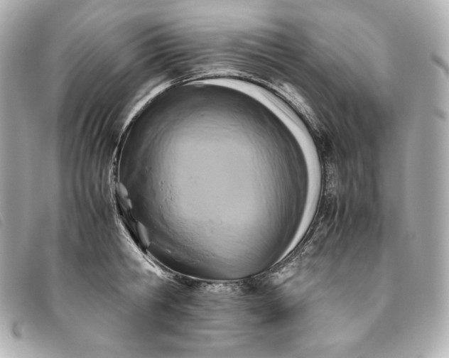 X0000093490806200710261116