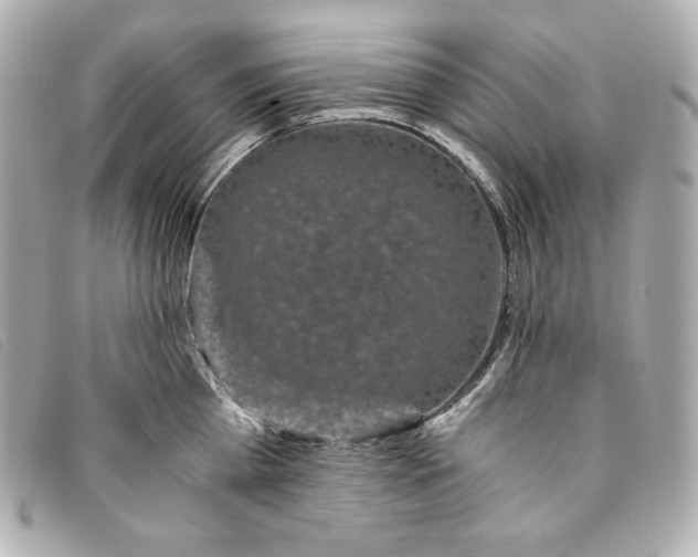 X0000093490809200710261116