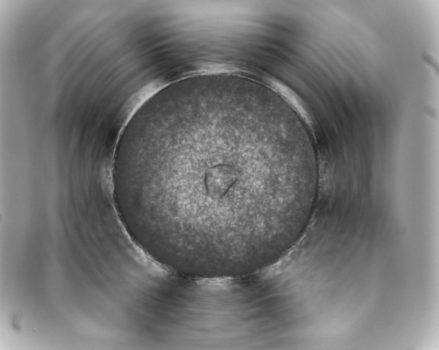 X0000093490810200710261116