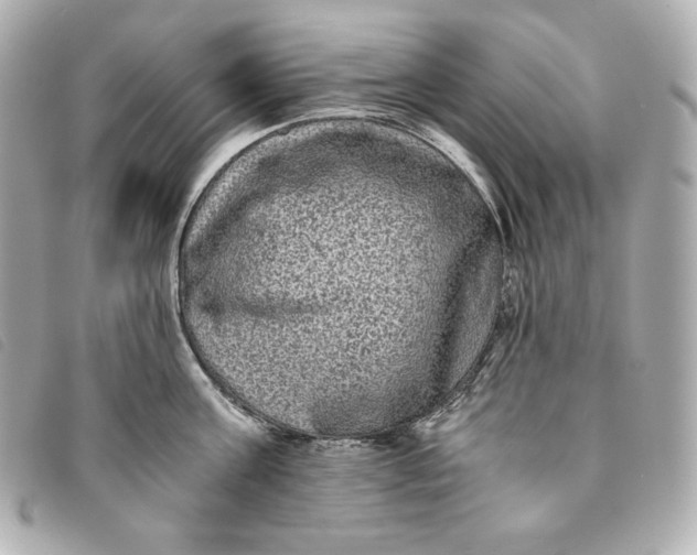 X0000093490811200710261116