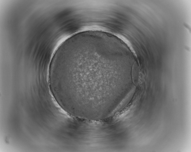 X0000093490815200710261116