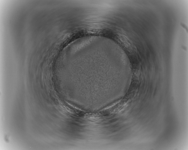 X0000093490817200710261115