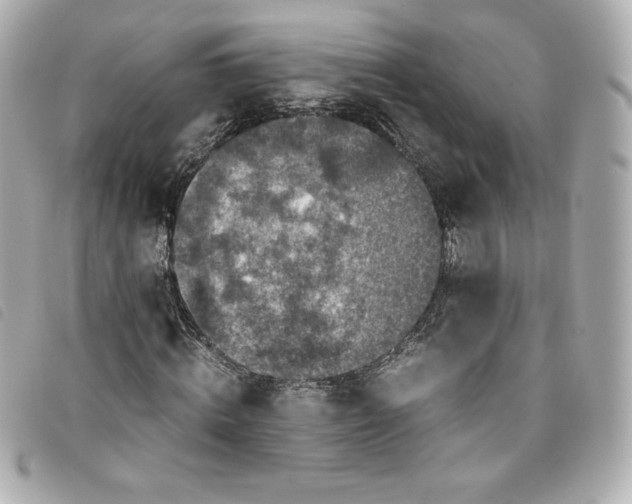 X0000093490820200710261115