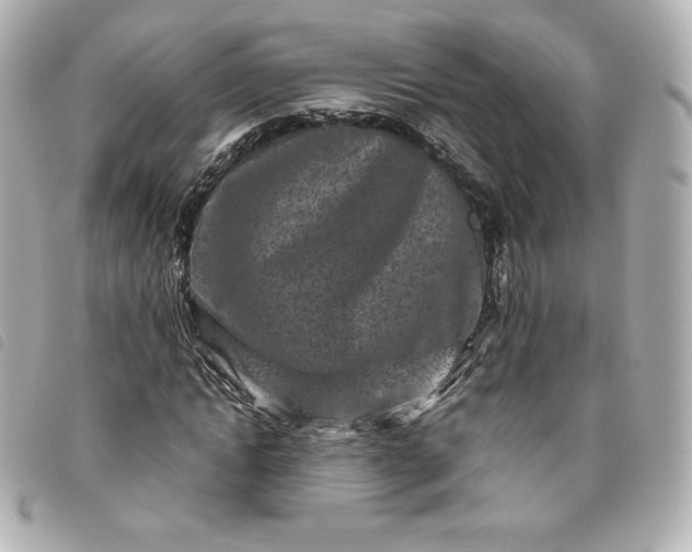 X0000093490822200710261115