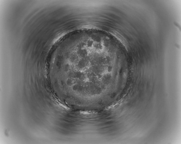 X0000093490823200710261115