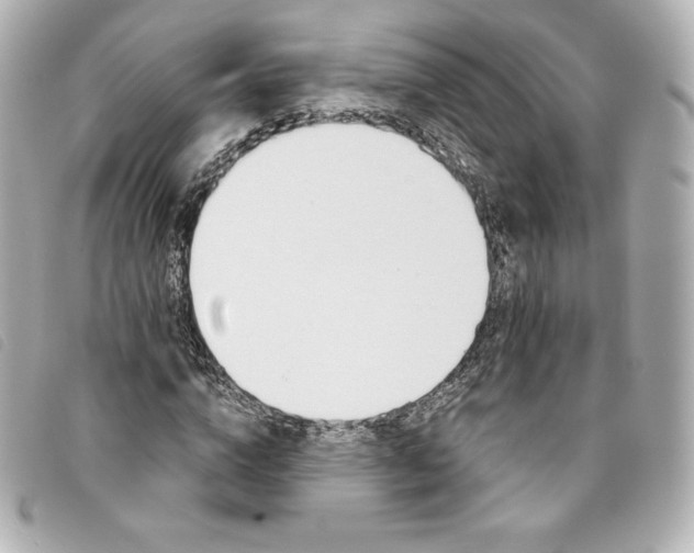 X0000093490824200710261115