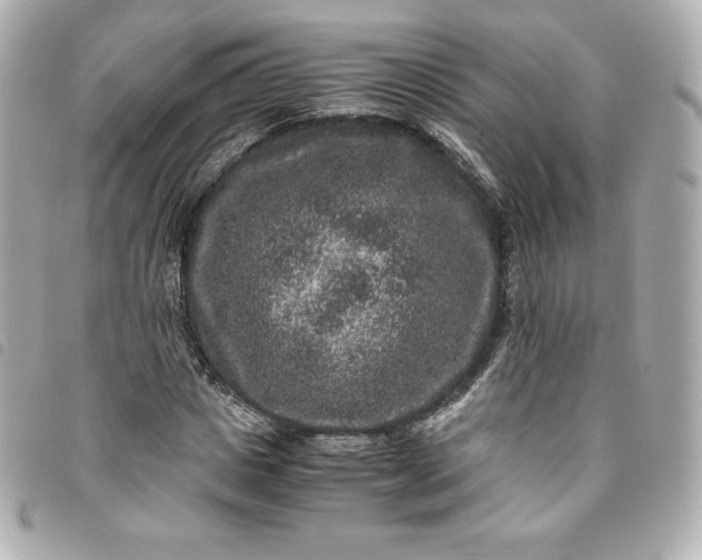 X0000093490825200710261115