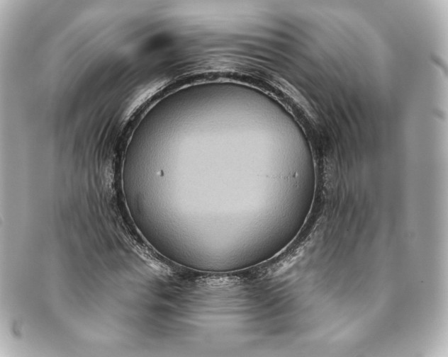 X0000093490826200710261115