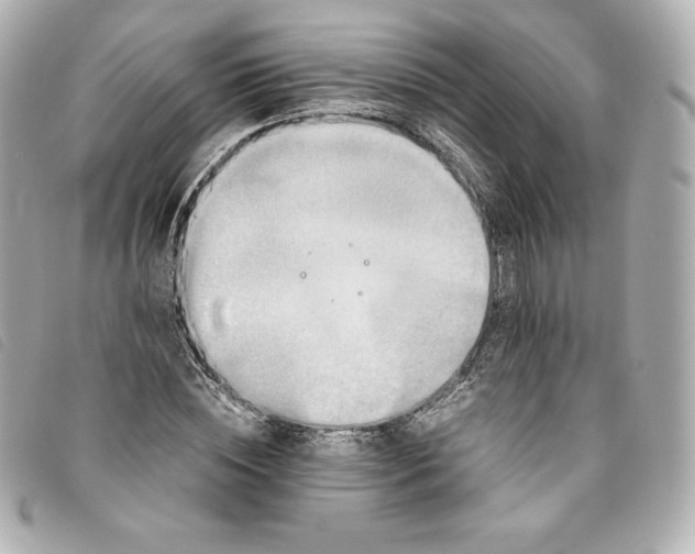 X0000093490828200710261115