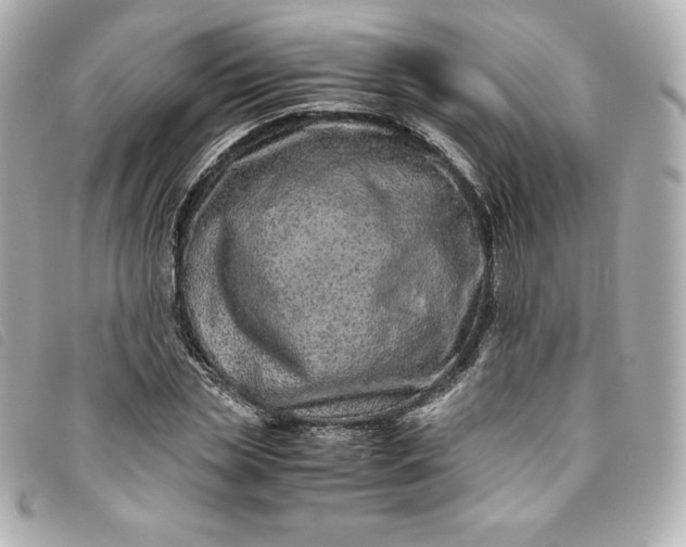 X0000093490829200710261115