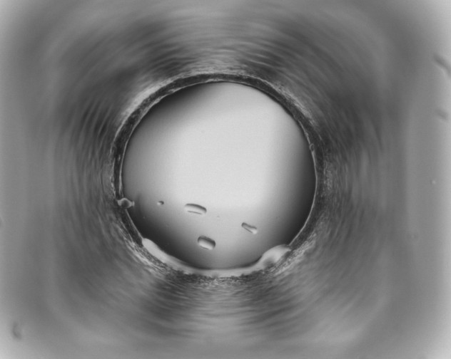 X0000093490830200710261115