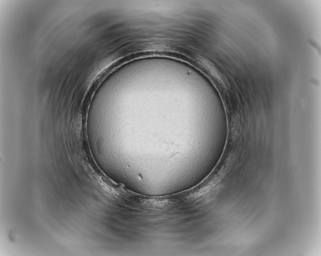 X0000093490831200710261115