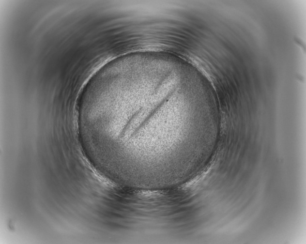 X0000093490835200710261115